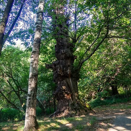 Casa Alba Σπίτι διακοπών Livo (Lombardy)